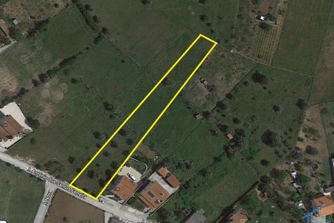 Helårsgrund i Tomar, Santarem, Tomar - € 57.000 | Ref: VCP146/23 - foto 1