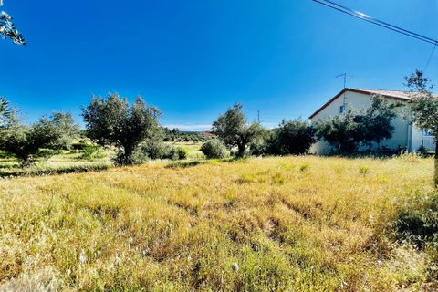 Helårsgrund i Tomar, Santarem, Tomar - € 57.000 | Ref: VCP146/23 - foto 2