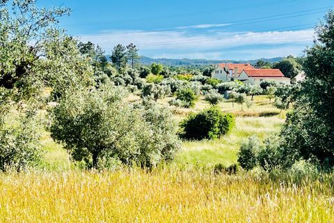Helårsgrund i Tomar, Santarem, Tomar - € 57.000 | Ref: VCP146/23 - foto 3