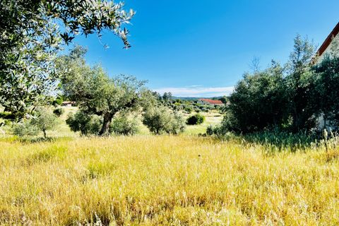 Helårsgrund i Tomar, Santarem, Tomar - € 57.000 | Ref: VCP146/23 - foto 4