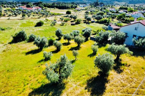 Helårsgrund i Tomar, Santarem, Tomar - € 57.000 | Ref: VCP146/23 - foto 5