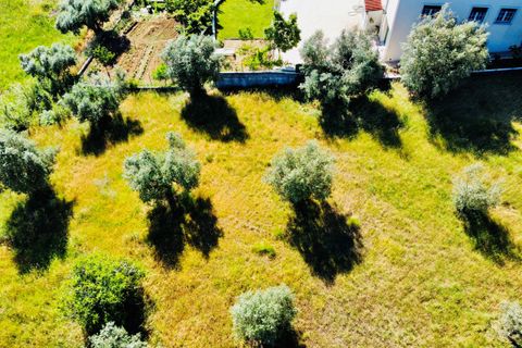 Helårsgrund i Tomar, Santarem, Tomar - € 57.000 | Ref: VCP146/23 - foto 7