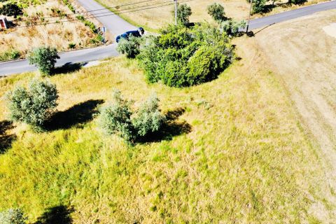 Helårsgrund i Tomar, Santarem, Tomar - € 57.000 | Ref: VCP146/23 - foto 9