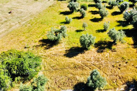 Helårsgrund i Tomar, Santarem, Tomar - € 57.000 | Ref: VCP146/23 - foto 10