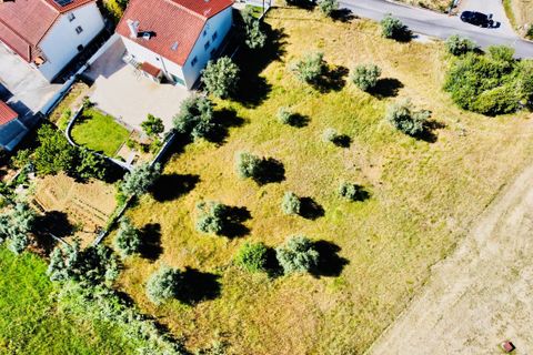 Helårsgrund i Tomar, Santarem, Tomar - € 57.000 | Ref: VCP146/23 - foto 11