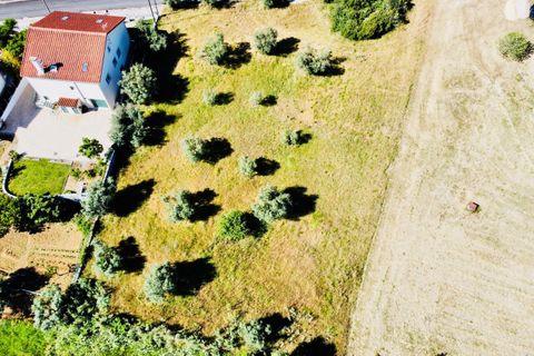 Helårsgrund i Tomar, Santarem, Tomar - € 57.000 | Ref: VCP146/23 - foto 13