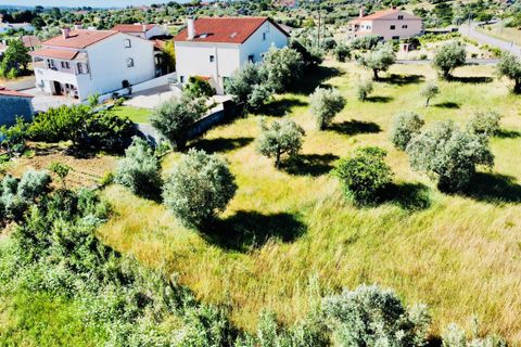 Helårsgrund i Tomar, Santarem, Tomar - € 57.000 | Ref: VCP146/23 - foto 14
