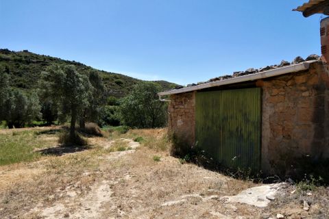 Finca i Caspe, Zaragoza, Caspe - € 43.000 | Ref: 0914 - foto 13
