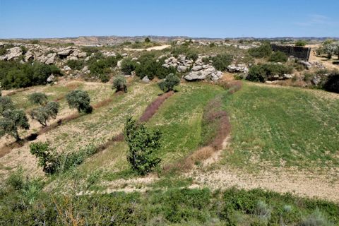 Finca i Caspe, Zaragoza, Caspe - € 43.000 | Ref: 0914 - foto 31