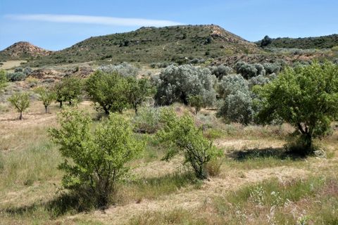 Finca i Caspe, Zaragoza, Caspe - € 43.000 | Ref: 0914 - foto 7