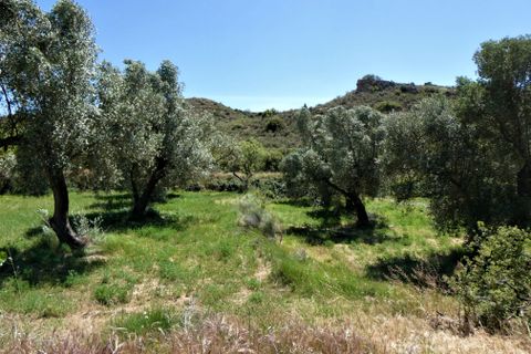 Finca i Caspe, Zaragoza, Caspe - € 43.000 | Ref: 0914 - foto 28