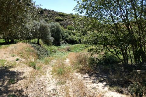 Finca i Caspe, Zaragoza, Caspe - € 43.000 | Ref: 0914 - foto 21