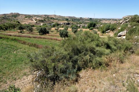 Finca i Caspe, Zaragoza, Caspe - € 43.000 | Ref: 0914 - foto 23