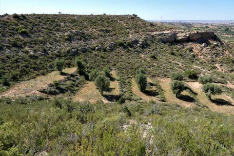 Finca i Caspe, Zaragoza, Caspe - € 43.000 | Ref: 0914 - foto 35