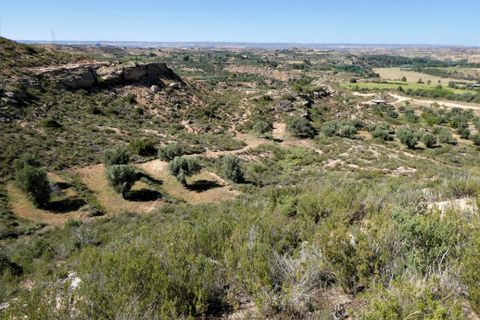 Finca i Caspe, Zaragoza, Caspe - € 43.000 | Ref: 0914 - foto 36