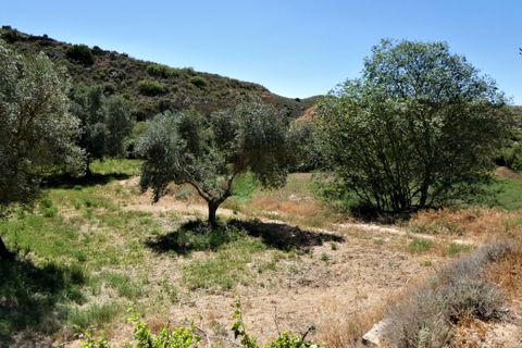 Finca i Caspe, Zaragoza, Caspe - € 43.000 | Ref: 0914 - foto 27