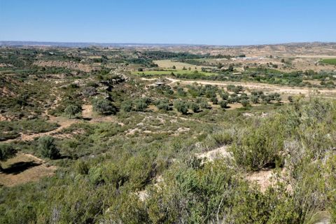 Finca i Caspe, Zaragoza, Caspe - € 43.000 | Ref: 0914 - foto 37