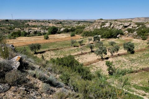 Finca i Caspe, Zaragoza, Caspe - € 43.000 | Ref: 0914 - foto 30