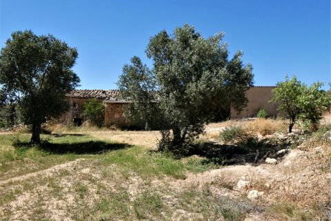 Finca i Caspe, Zaragoza, Caspe - € 43.000 | Ref: 0914 - foto 26