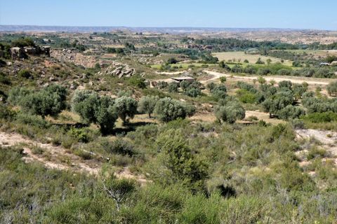 Finca i Caspe, Zaragoza, Caspe - € 43.000 | Ref: 0914 - foto 38