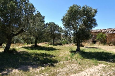 Finca i Caspe, Zaragoza, Caspe - € 43.000 | Ref: 0914 - foto 25