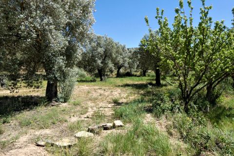 Finca i Caspe, Zaragoza, Caspe - € 43.000 | Ref: 0914 - foto 29