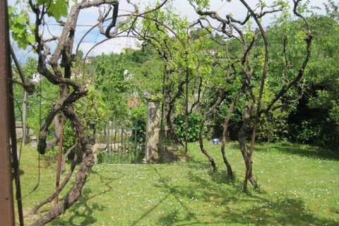 Landejendom i Cinfaes, Viseu, Cinfaes - € 321.000 | Ref: RP4195RP - foto 15