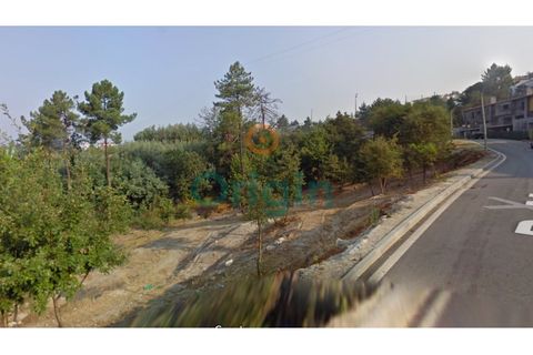 Helårsgrund i Amarante, Porto, Amarante - € 134.500 | Ref: TER_2023_05_011 - foto 4