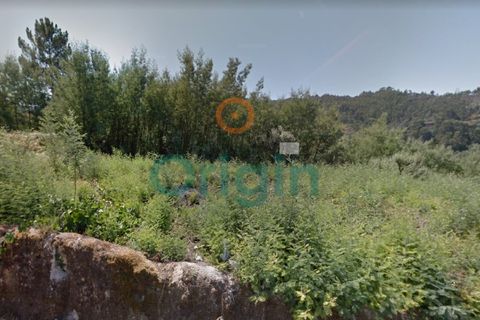 Helårsgrund i Amarante, Porto, Amarante - € 134.500 | Ref: TER_2023_05_011 - foto 5