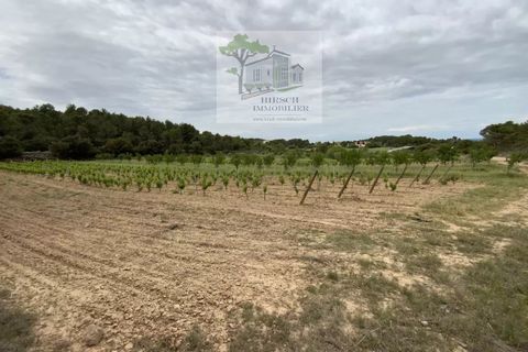 Villa a Ginestas, Aude, Ginestas - € 1.295.000 | Ref: 2020A - foto 2