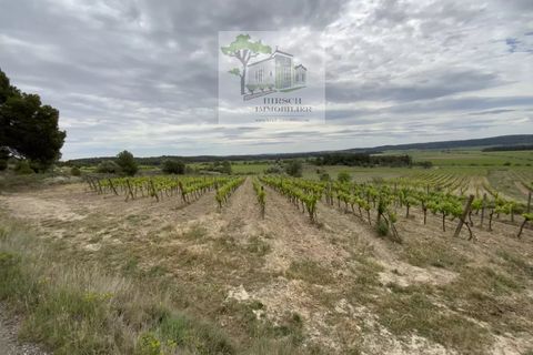 Villa a Ginestas, Aude, Ginestas - € 1.295.000 | Ref: 2020A - foto 3