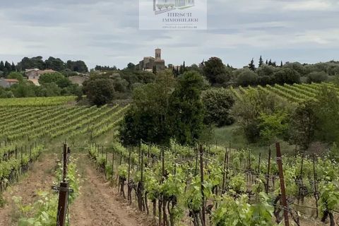 Villa a Ginestas, Aude, Ginestas - € 1.295.000 | Ref: 2020A - foto 4