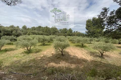 Villa a Ginestas, Aude, Ginestas - € 1.295.000 | Ref: 2020A - foto 5