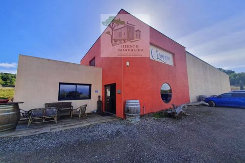 Villa a Ginestas, Aude, Ginestas - € 1.295.000 | Ref: 2020A - foto 6