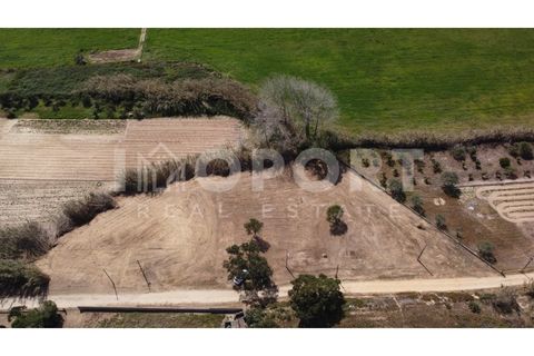 Helårsgrund i Santo Andre, Setubal, Santo Andre - € 235.000 | Ref: TER-50 - foto 2