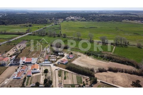 Helårsgrund i Santo Andre, Setubal, Santo Andre - € 235.000 | Ref: TER-50 - foto 6