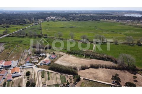 Helårsgrund i Santo Andre, Setubal, Santo Andre - € 235.000 | Ref: TER-50 - foto 7