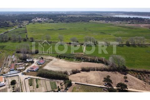 Helårsgrund i Santo Andre, Setubal, Santo Andre - € 235.000 | Ref: TER-50 - foto 8