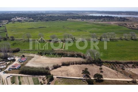 Helårsgrund i Santo Andre, Setubal, Santo Andre - € 235.000 | Ref: TER-50 - foto 9