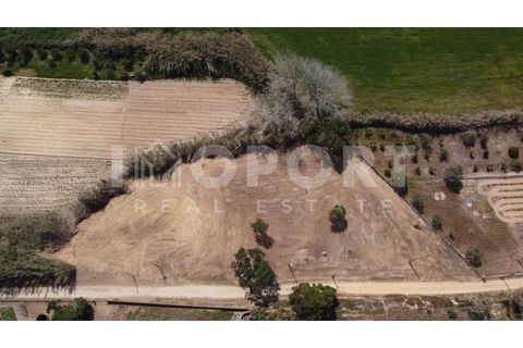 Helårsgrund i Santo Andre, Setubal, Santo Andre - € 235.000 | Ref: TER-50 - foto 26