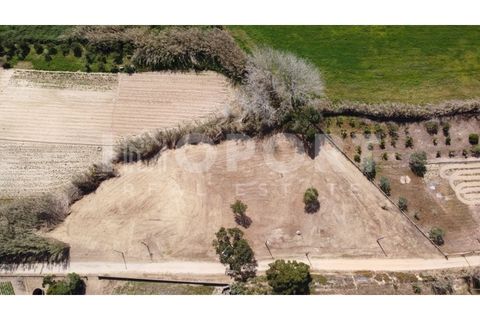 Helårsgrund i Santo Andre, Setubal, Santo Andre - € 235.000 | Ref: TER-50 - foto 27