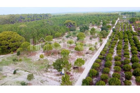 Grond in Santo Andre, Setubal, Santo Andre - € 625.000 | Ref: TER-49 - foto 2