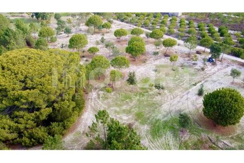 Grond in Santo Andre, Setubal, Santo Andre - € 625.000 | Ref: TER-49 - foto 3