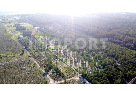 Grond in Santo Andre, Setubal, Santo Andre - € 625.000 | Ref: TER-49 - foto 6