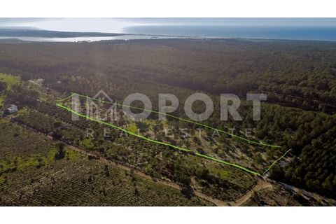Grond in Santo Andre, Setubal, Santo Andre - € 625.000 | Ref: TER-49 - foto 7