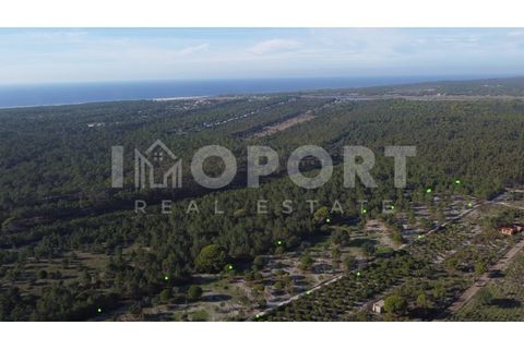 Grond in Santo Andre, Setubal, Santo Andre - € 625.000 | Ref: TER-49 - foto 8