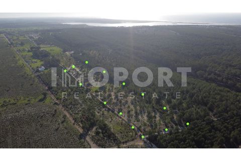 Grond in Santo Andre, Setubal, Santo Andre - € 625.000 | Ref: TER-49 - foto 9