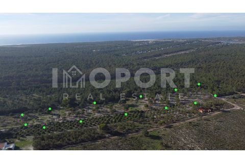 Grond in Santo Andre, Setubal, Santo Andre - € 625.000 | Ref: TER-49 - foto 10