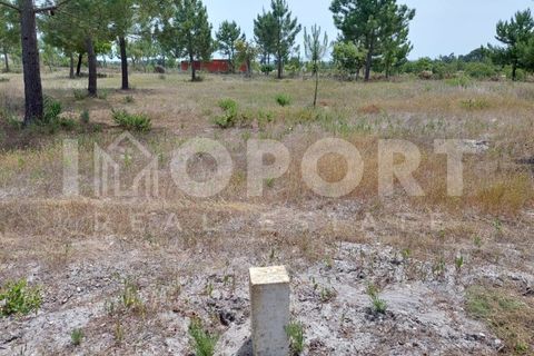 Grond in Santo Andre, Setubal, Santo Andre - € 625.000 | Ref: TER-49 - foto 12