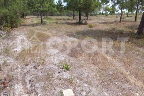 Grond in Santo Andre, Setubal, Santo Andre - € 625.000 | Ref: TER-49 - foto 13